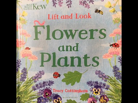 Flowers and Plants by Tracy Cottingham(Read Aloud With Darya)Children, preschool, nursery,story book