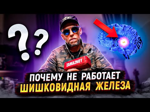 Звуковая волна: Природа звука, света, запаха это основа мироздания #вибрации #осознанность