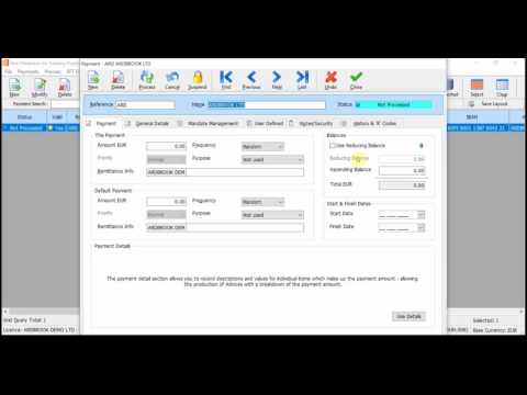SEPA SDD - DEFT 05 - Enter Payment Amounts Manually
