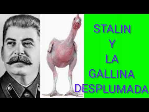 STALIN Y LA GALLINA DESPLUMADA.