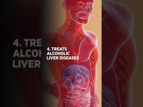 Milk thistle extract capsules 30 capsules