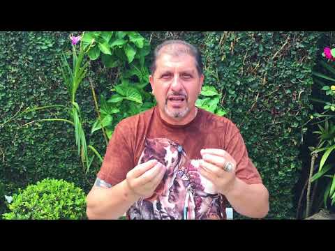 Vivência Celebração Xamânica