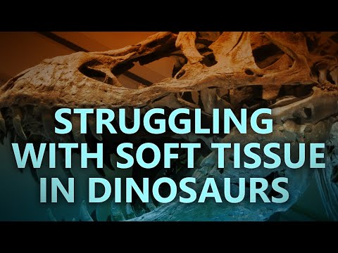 Struggling with soft tissue in dinosaurs