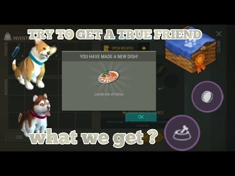 OPEN 8 ELITE PUPPYS TRY TO GET A TRUE FRIEND Last Day on Earth 1.16.4