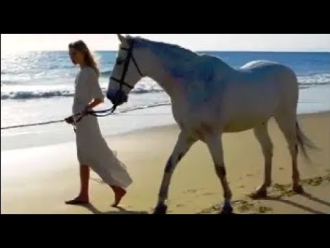 Caravelli — soleil (Some Fine Day)