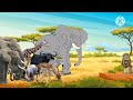 Bim And Bam The Animal World