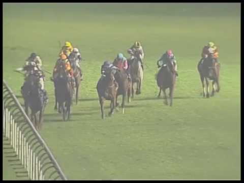 2017-04-28 Macau Meeting Race 5(0241) - THE INCHON