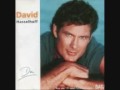 David Hasselhoff - Try A Little Tenderness