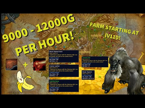 World of Warcraft 8.3 Coarse Leather/Blood Stained Bones Farming Guide - 9k-12k/HOUR