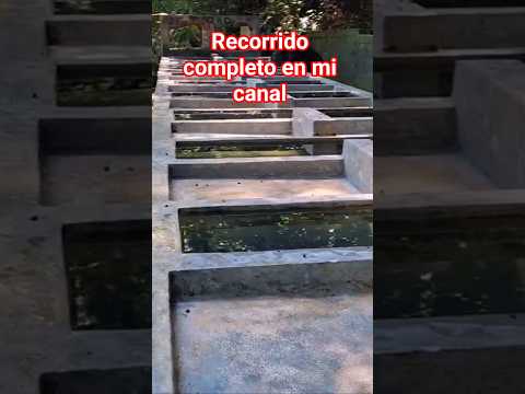 Nadie Te Enseña Estos Lugares de San Mauricio, Tecapán 😲