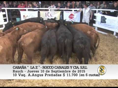 10-09-15 Venta de Vaquillonas - Cabaña La Z - Rauch.