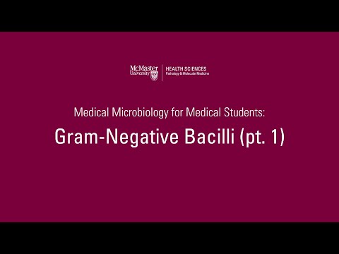 Gram-Negative Bacilli (pt. 1) | Med Micro for Med Students