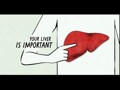 How hep C affects the liver | See http://abbv.ie/mavyretPI