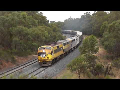 6CM7 SSR Grain Featuring Quad Bulldogs