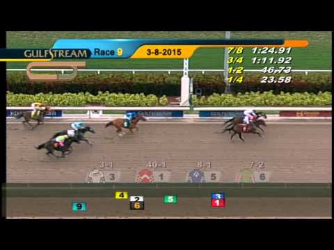 Gulfstream Park Replay Show | March 8, 2015