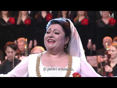 Tudor CHIRIAC, Grigore VIERU – FLOARE CIUCIULENI (Remix. Subtitrat. NOU)