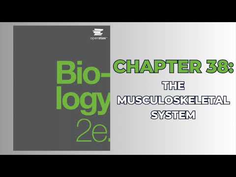 OpenStax Biology 2e (Audiobook) - Chapter 38: The Musculoskeletal System