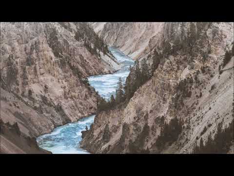 Tujamo & Antoine Delvig - Vida Loca (Extended Mix)