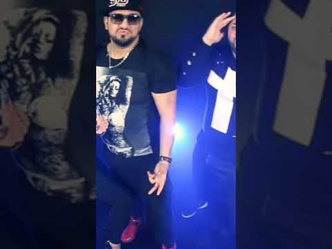 Costel Biju si Mitzu din Salaj - HALADITA❌BASS BOOSTED