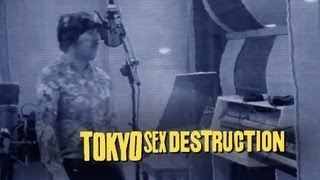 TOKYO SEX DESTRUCTION al BirraSó Festival 2013