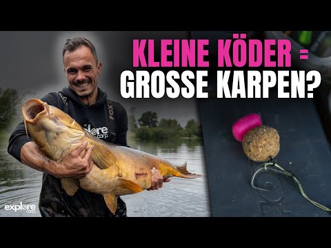 Small bait, big surprise! 💥 Carp fishing | Fox International | BLB | Competition