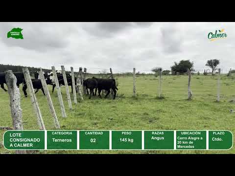 Video del lote L0-000854