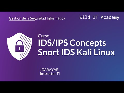 Seguridad Informática Wild IT Academy