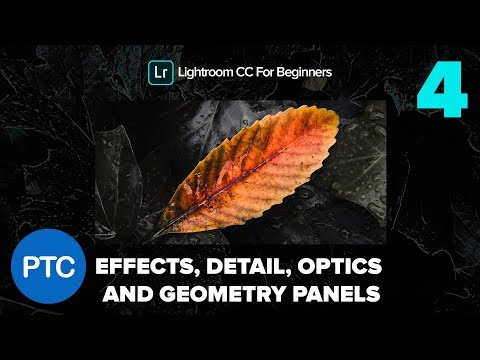 Importing Files Into Lightroom CC Lightroom CC for Beginners FREE Course 01