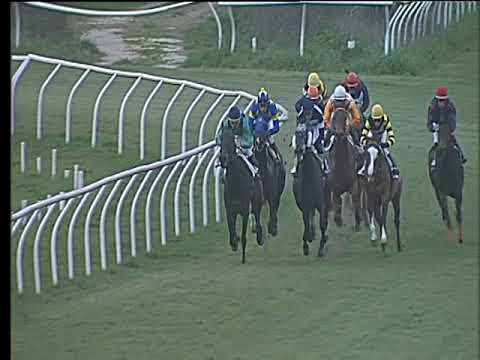 Galoppo 15/03/2018 - 6ª corsa