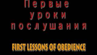 Смотреть онлайн Как научить собаку послушанию