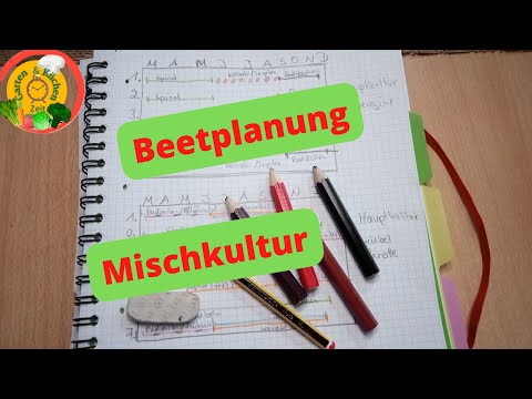 Beetplanung|Mischkultur|ganzes Jahr ernten🍅🍆🥕