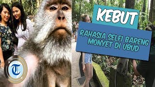 KEBUT: Rahasia di Balik Foto Selfie Bareng Monyet di Bali yang Viral di Medsos