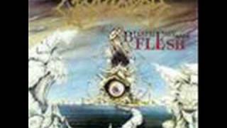 cryptopsy mutant christ misheard lyrics