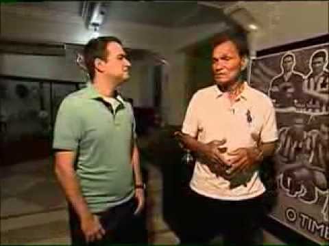 Botafogo: Grandes Ídolos / Manga - 2013