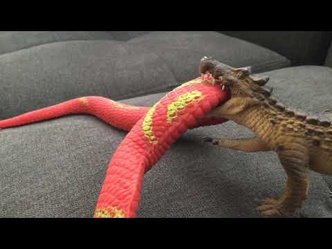 FFO Ultimate: Round 1, Fight 9: Titanoboa vs Kaprosuchus