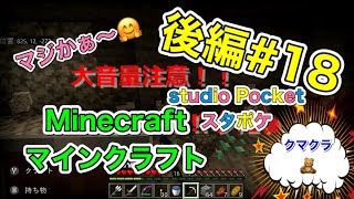 【マインクラフト】【Minecraft】2017年5月12日発売 Mojang【Nintendo Switch】統合版 #18 音量注意やで！ #Japanesegame #studioPocket