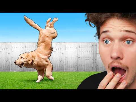 TikToks I Watch When I'm Bored