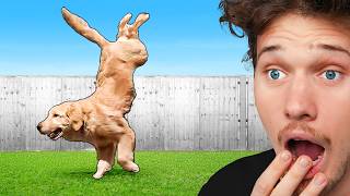 TikToks I Watch When I'm Bored