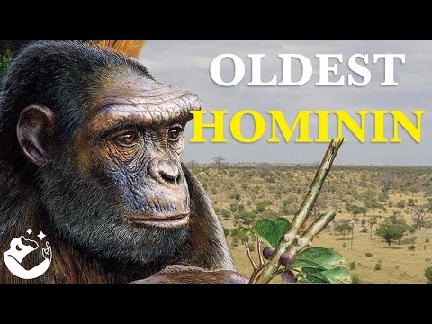 The Fascinating Origins of Hominins