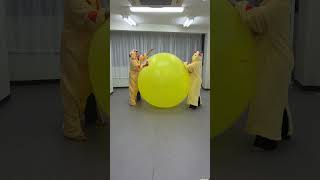 観測用巨大風船割り（4）　Preparing to Burst a Weather Balloon (Part 4)