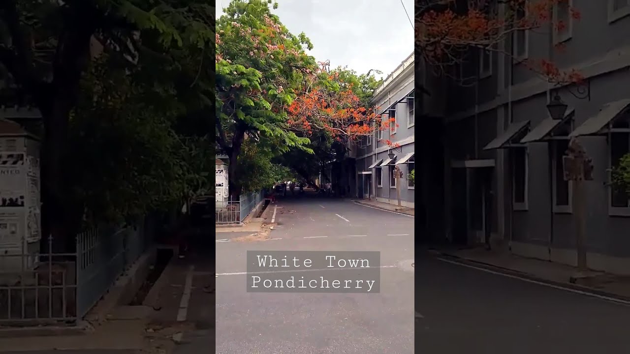 White Town – Pondicherry #shorts