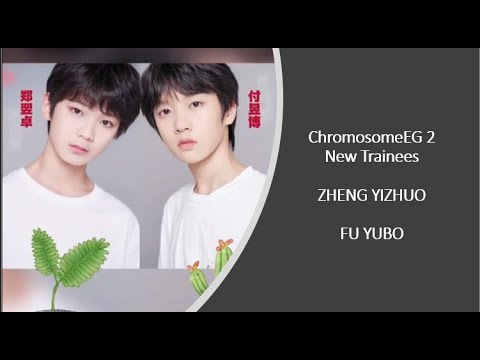 Chromosome - 2 of FIVE BLESSINGS: ZHENG YIZHUO + FU  YUBO