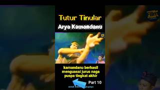 Download lagu kamandanu berhasil menguasai jurus naga puspa tingkat akhir #tuturtinular mp3