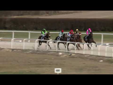 2021.03.28. 06. futam - HÁROMÉVESEK VERSENYE (IV.kat.) (szintetikus pálya)