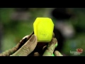 Trash Pack Zombies TV Commercial
