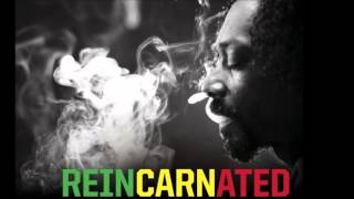 Snoop Lion - Smoke The Weed (Feat. Collie Buddz) HQ