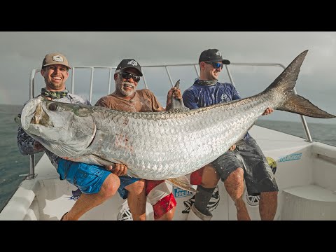 image-What was the biggest tarpon ever caught?