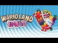Boss 2 Hot Roderick 1HR Looped Wario Land Shake It Music