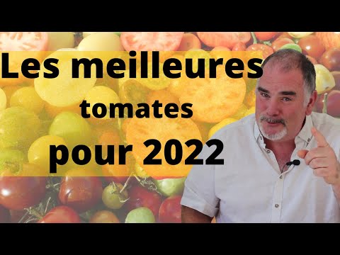 Les meilleures tomates pour 2022