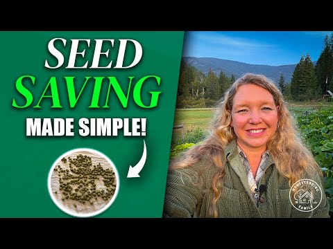 Effortless Seed Saving: The Essential Secret